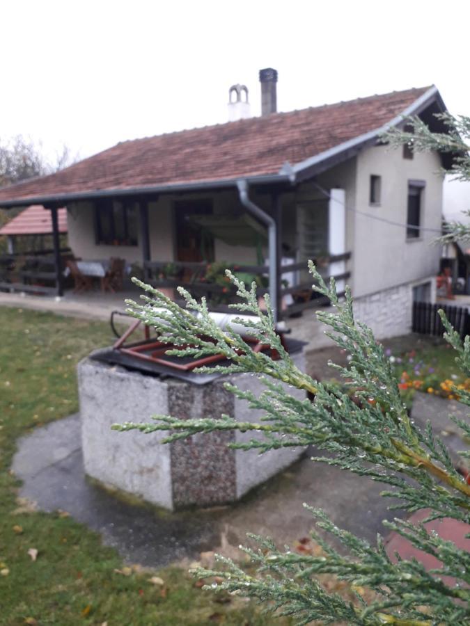 Galerija Jovanovic Topola Экстерьер фото